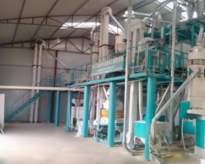 辉县120吨玉米粉加工设备生产现场